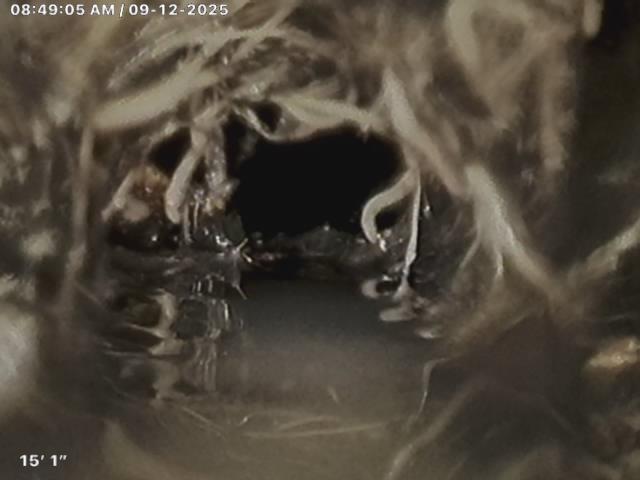 Storm Drain Cleaning Los Angeles | Hydro Jetting & Flood Prevention