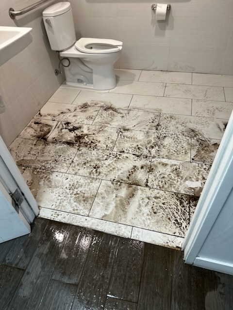 Unclogging Main Line Through The Toilet Flange Los Angeles, CA