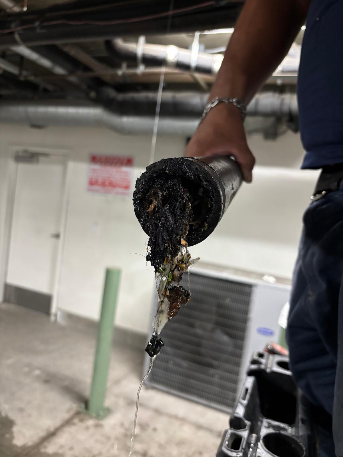 Kitchen Drain Line Cleaning Underneath the Building on Don Ricardo Dr, Los Angeles, CA 90008